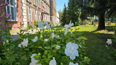 Zdjęcie WhatsApp 2025-10-13 o 17.54.36_2351bd23.jpg