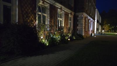 Zdjęcie WhatsApp 2025-10-13 o 17.58.28_34542843.jpg